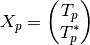 X_p = \begin{pmatrix}T_p\\T_p^*\end{pmatrix}